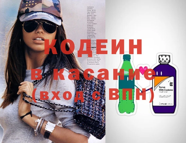 индика Козловка