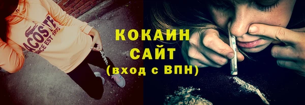индика Козловка