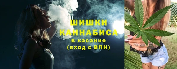 индика Козловка