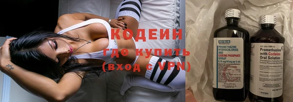 индика Козловка