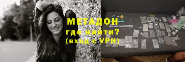 индика Козловка
