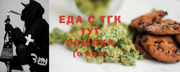 индика Козловка