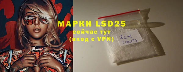 индика Козловка