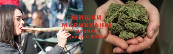 индика Козловка