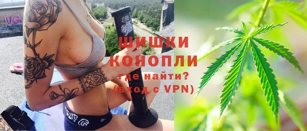 индика Козловка