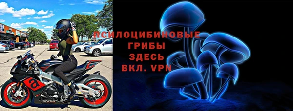 индика Козловка