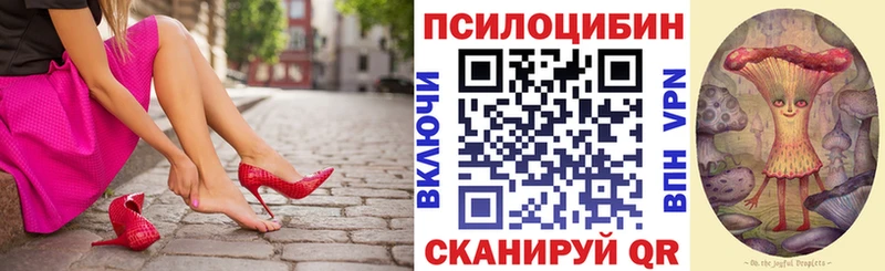 Галлюциногенные грибы Psilocybine cubensis  Купить где  Щигры 